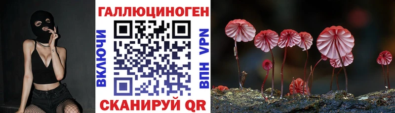 закладка  Аткарск  Галлюциногенные грибы Psilocybe 