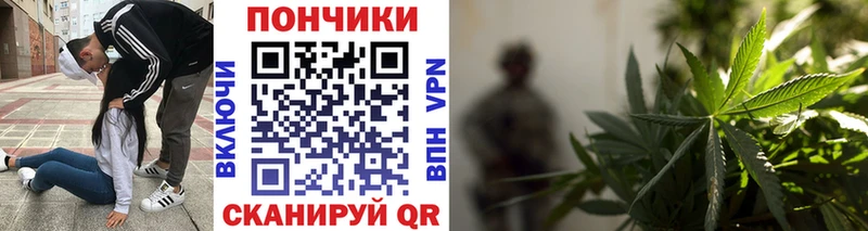 darknet как зайти  Аткарск  Конопля конопля 